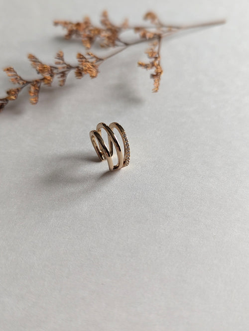 Bagues d’oreilles