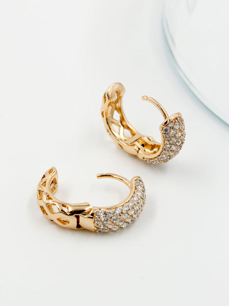 Boucles d'oreilles E411