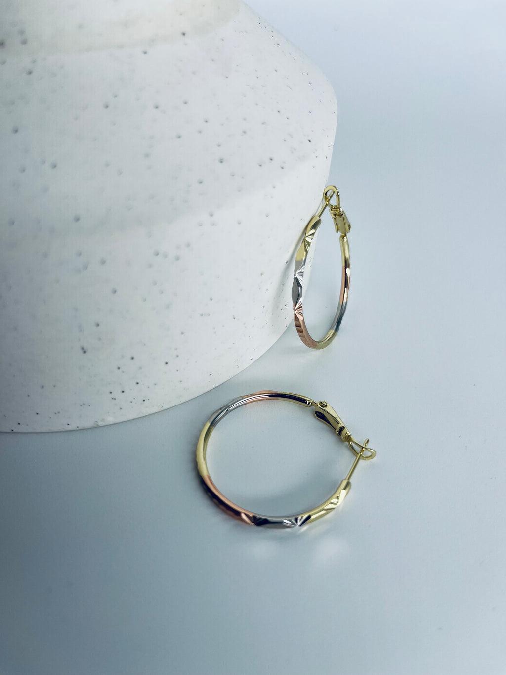 Boucles d'oreilles E309